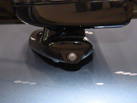 2025�� ������������������Max��