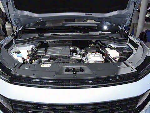 2025�� 120km ������