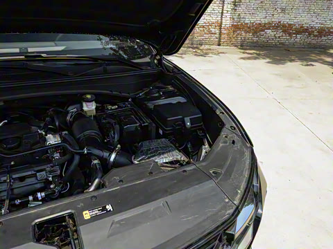 2025�� ;ʤL 1.5T ��Ӣ�� N-Line