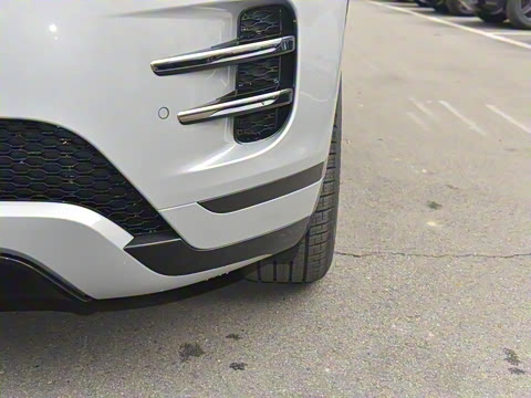 2022�� ����L P300e ���ʽ�綯��ϰ�