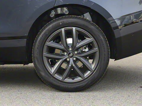 2024�� Dynamic SE