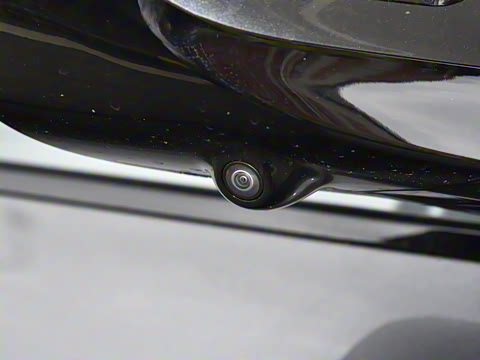 2025�� Max�����