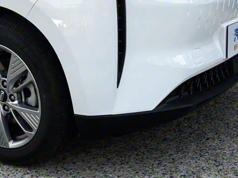 2023�� PRO �������а� 425km