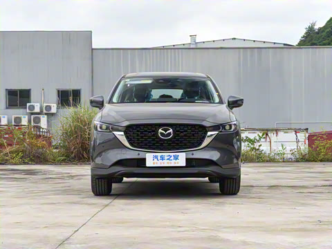 2025�� 2.0L �Զ���������Pro