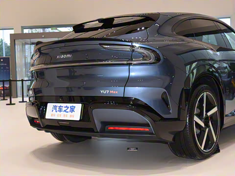 2025�� ������������������Max��