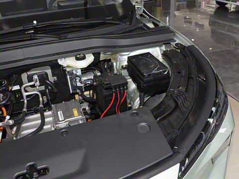 2025�� 565km ������