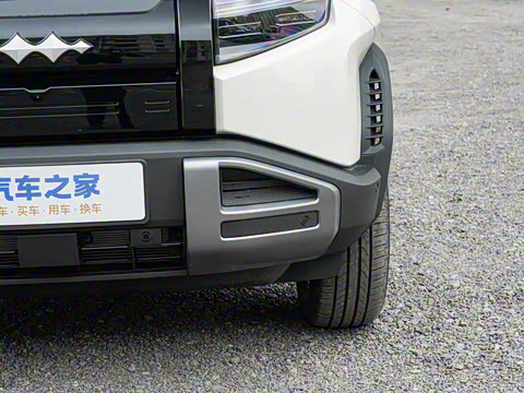 2025�� 501KM ����Max��