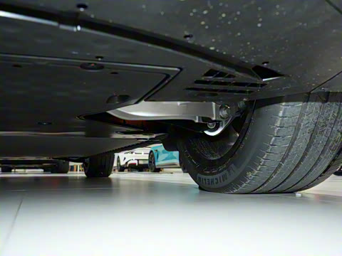 2025�� ������������������Max��