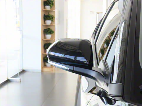 2021�� 2.0L ������