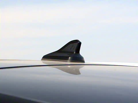 2025�� ������ ���ڰ�