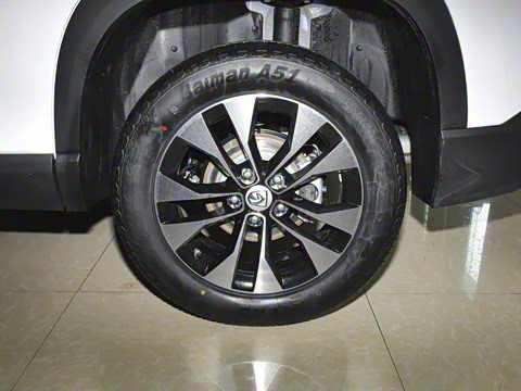 2021�� ȫ���������� 1.5T �ֶ������� 5��