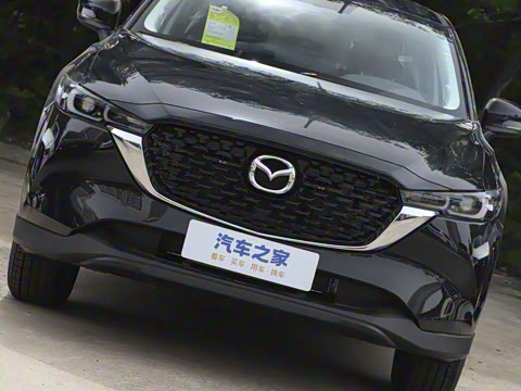 2024�� 2.0L �Զ�����������