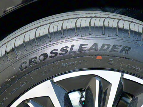 2025�� 145km ������