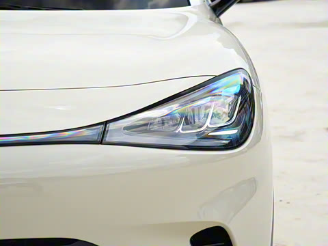 2026�� �鶯��������