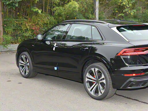 2023�� 55 TFSI ����������