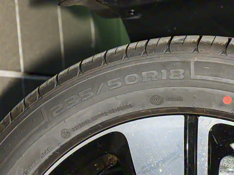 2026�� �鶯��������