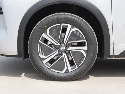 2025�� 55km ������