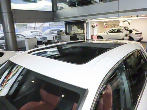 2025�� Cayenne 3.0T ���ΰ�