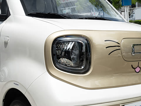 2025�� 222km �鶯��