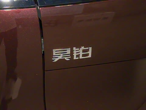 2025�� 825 Max��