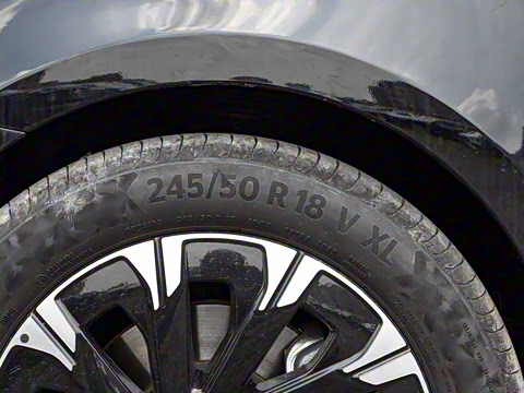 2025�� V 300 �캽��