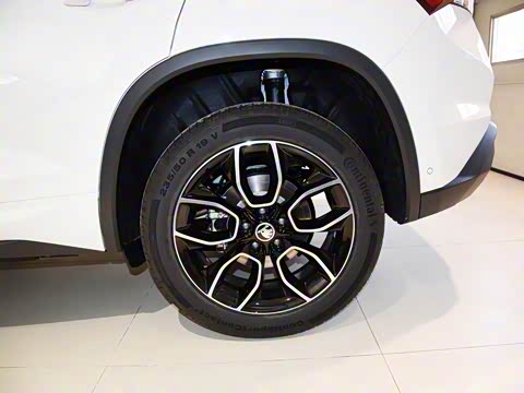 2019�� TSI330 ���������� ��VI