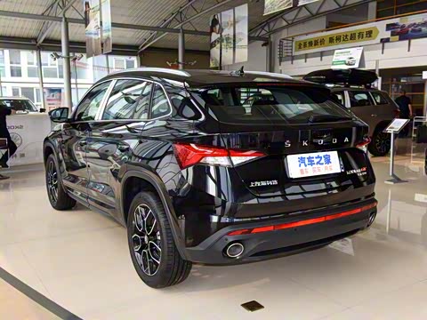 2019�� TSI330 ���������� ��VI