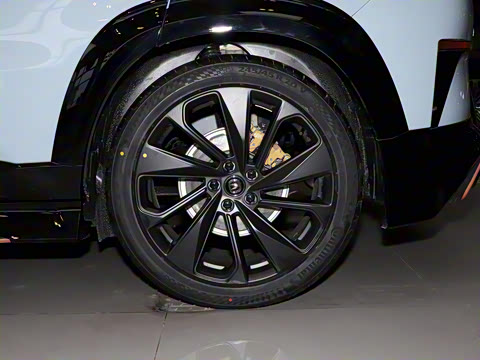 2022�� 2.0T �˶��� �캽��