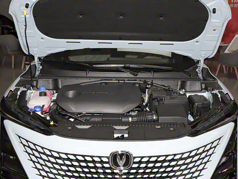 2022�� 2.0T �˶��� �캽��