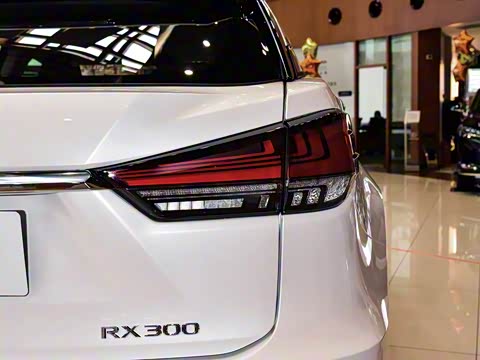 2020�� 300 �������ʰ� ��VI