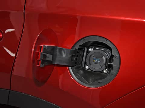 2019�� Ԧ����