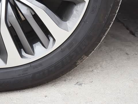 2019�� 30T ������������Ⱥ�����