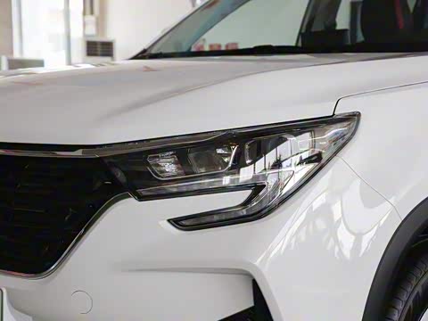 2021�� 1.5T �Զ�������