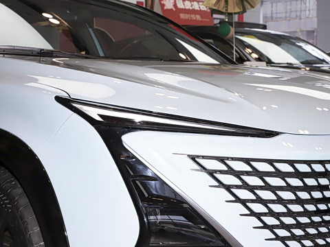 2022�� 2.0T �˶��� �캽��