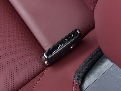 2022�� 2.0L �Զ����