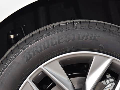 2019�� 2.5L ��ȡ�� ��V