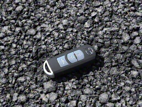 2020�� 2.5L ��������