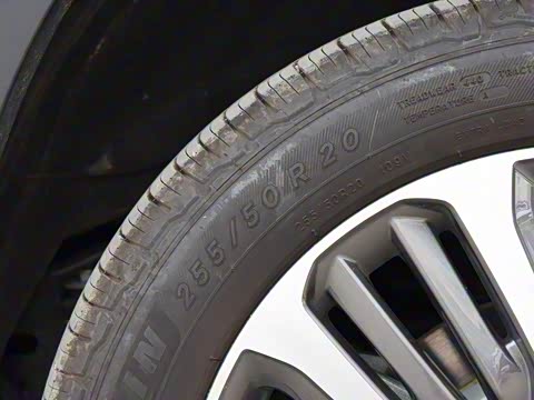 2019�� 30T ������������Ⱥ�����