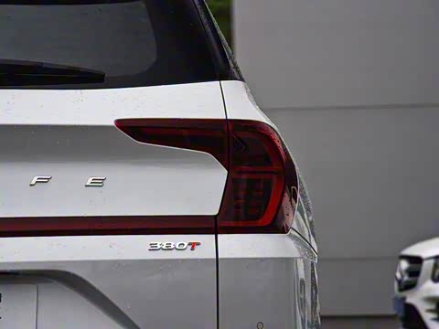 2019�� 380 TGDi DLX �Զ���������� ��VI