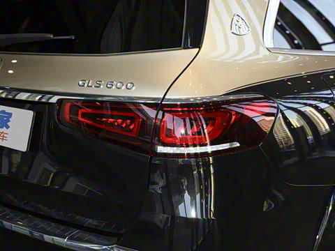 2022�� GLS 600 4MATIC ���а�