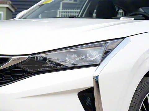 2020�� 230T �Զ��ſ�������