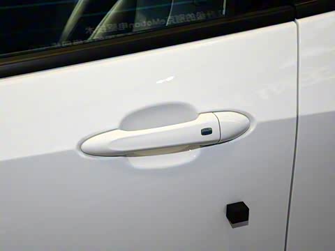 2019�� ����������