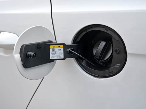 2019�� 1.5L �ֶ�������