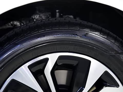 2019�� ������������