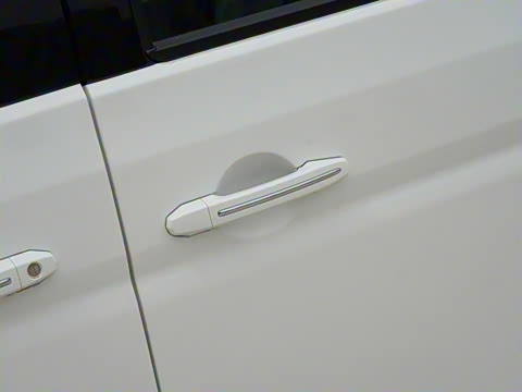 2021�� 1.5L �ͳ�����ʨ 7��