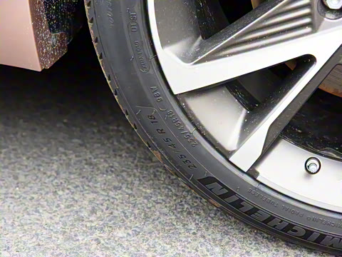 2021�� 80 ����������