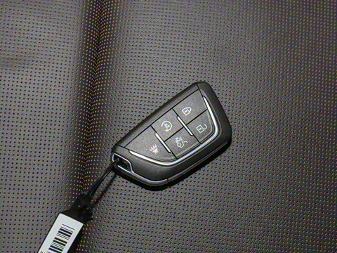 2020�� �Ŀ� 28T �����˶���