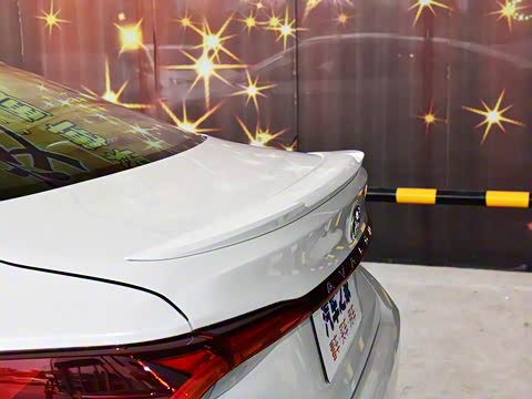 2019�� 2.5L ��ȡ�� ��V