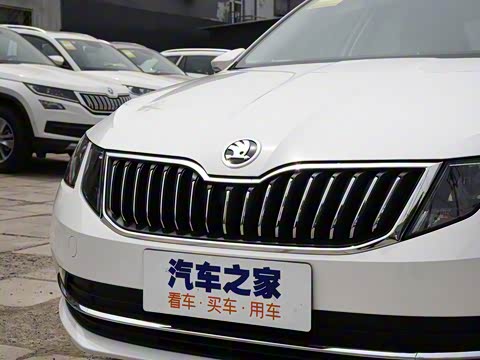 2019�� TSI230 DSG���к����� ��VI