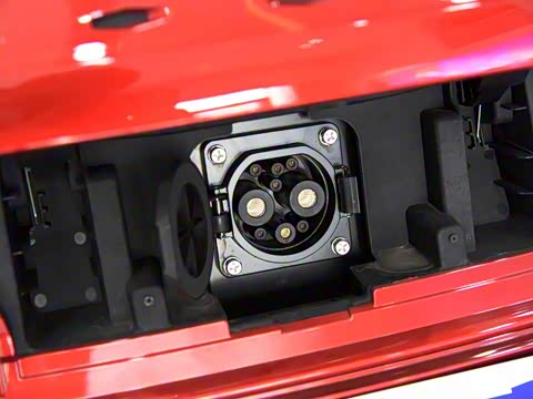 2019�� Ԧ����